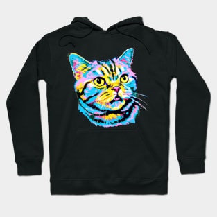 American Shorthair Pop Art - Cat Lover Gif Hoodie